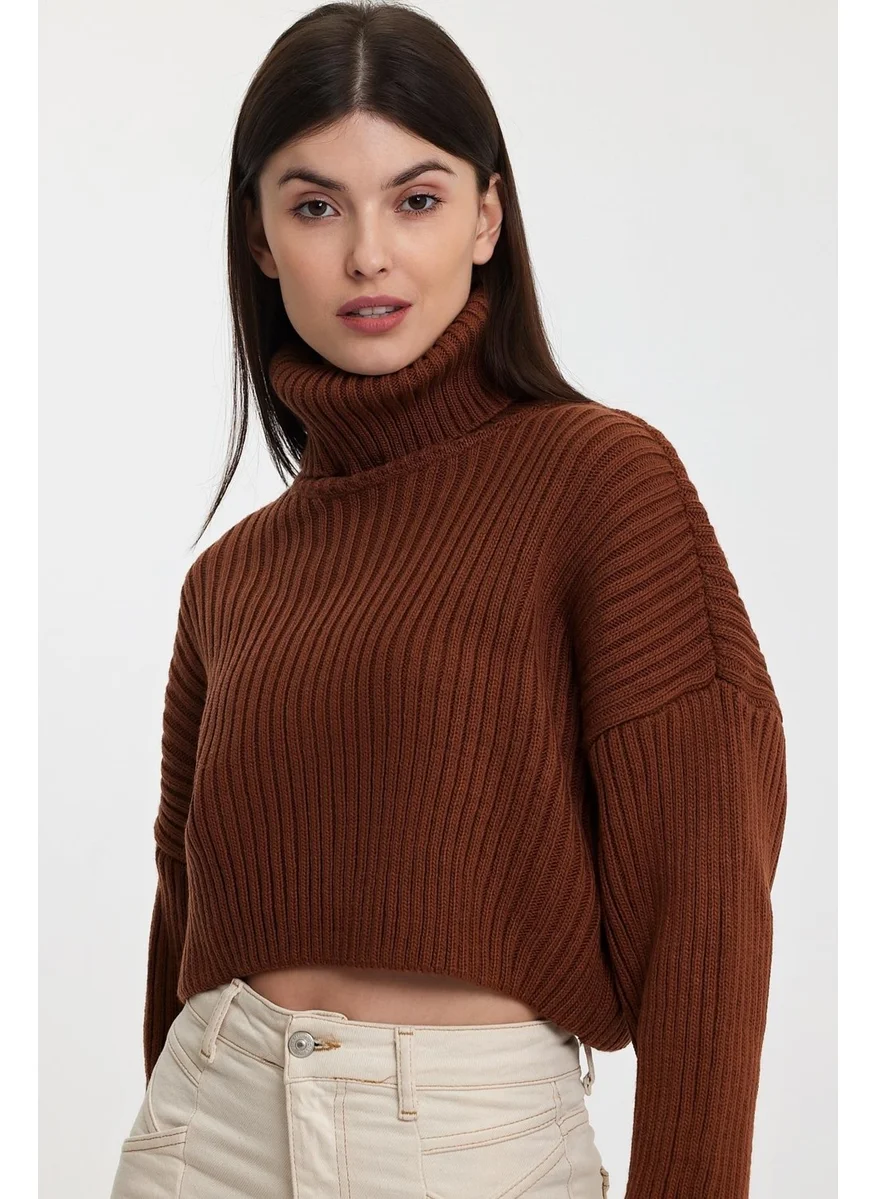 Alexandergardi Alexandergardı Sleeves Fold Turtleneck SWEATER (A92242-S)