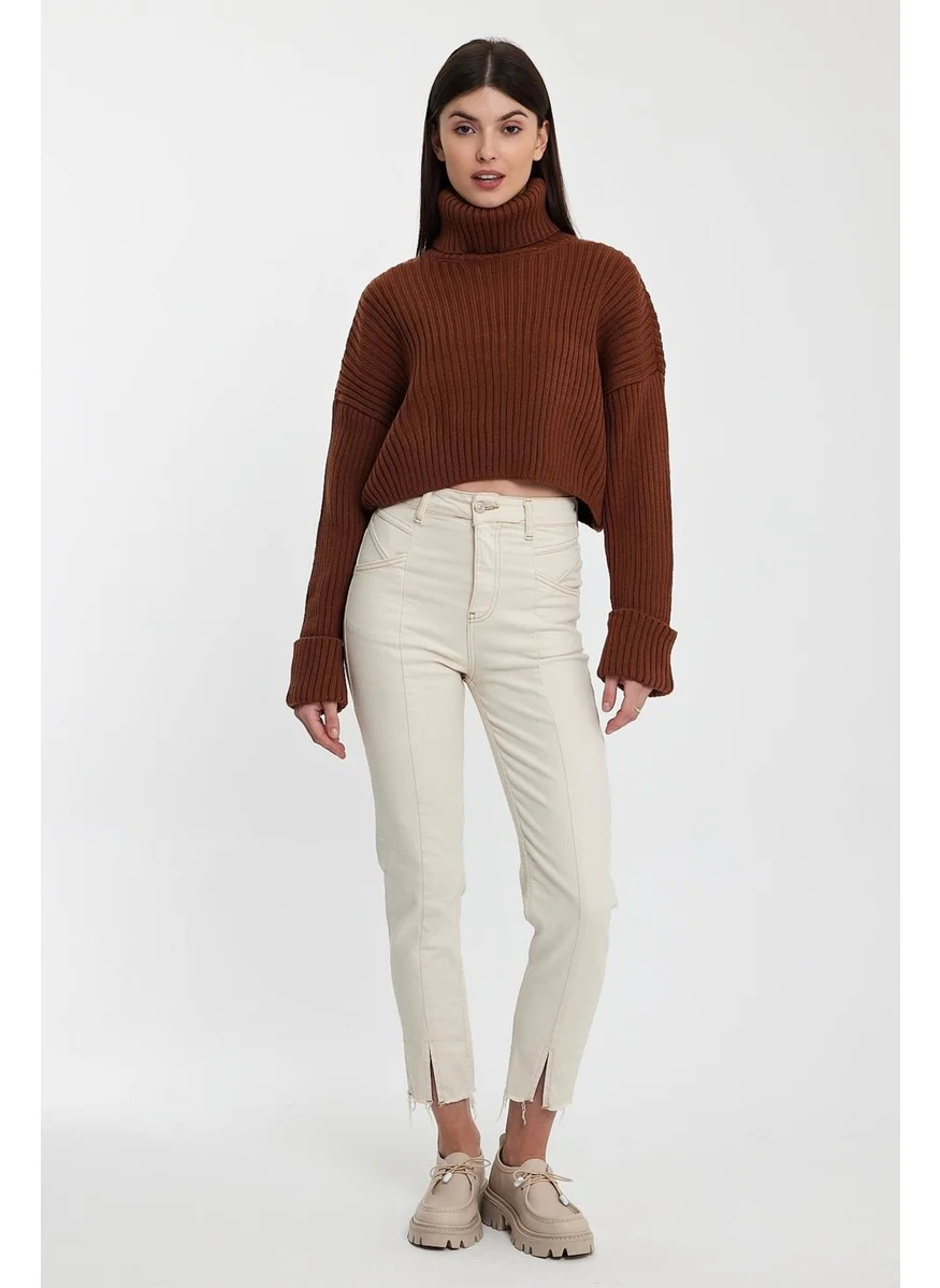 Alexandergardi Alexandergardı Sleeves Fold Turtleneck SWEATER (A92242-S)