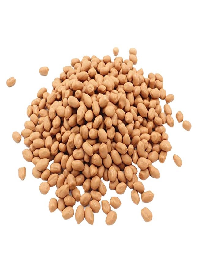 OHPHCALL 1bag Artificial Groundnut Kernels Fake Peanut Models for Photography Props Realistic Simulation Nuts for Home Decor and Events for Displays and Craft Projects - Image 1