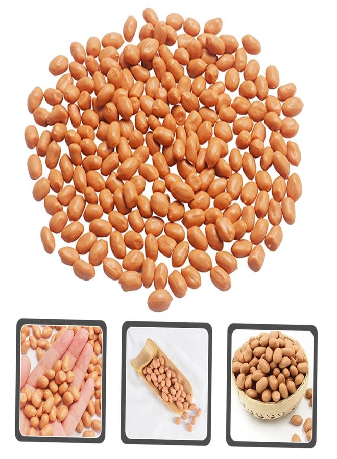 OHPHCALL 1bag Artificial Groundnut Kernels Fake Peanut Models for Photography Props Realistic Simulation Nuts for Home Decor and Events for Displays and Craft Projects - Image 5