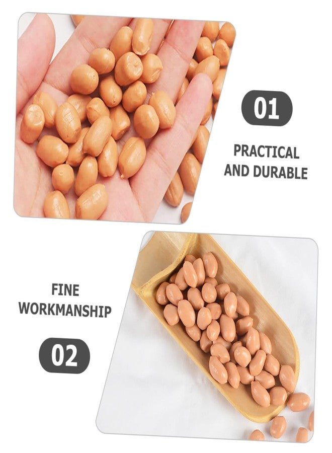 OHPHCALL 1bag Artificial Groundnut Kernels Fake Peanut Models for Photography Props Realistic Simulation Nuts for Home Decor and Events for Displays and Craft Projects - Image 2