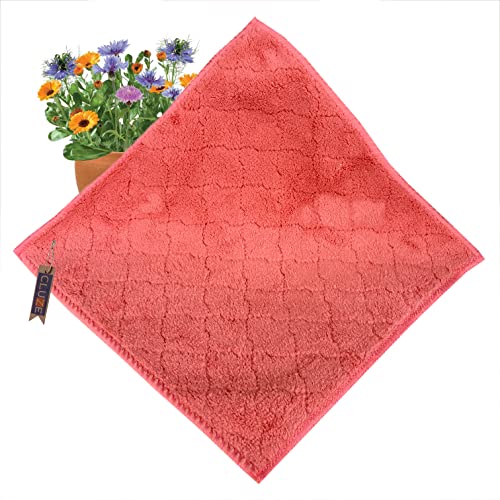 CLUZE Microfiber Face Towel/Handkerchief For Women/Girls/Kids - Super Soft, Absorbent Hanky- Ladies Soft Rumal (Set Of 6 Pc), 400 TC,Multicolor - Image 3