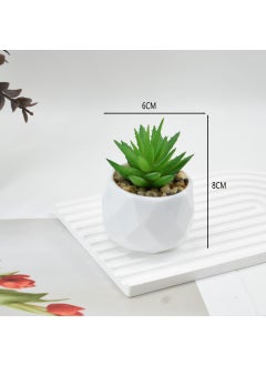 Small aloe vera + plastic diamond pot