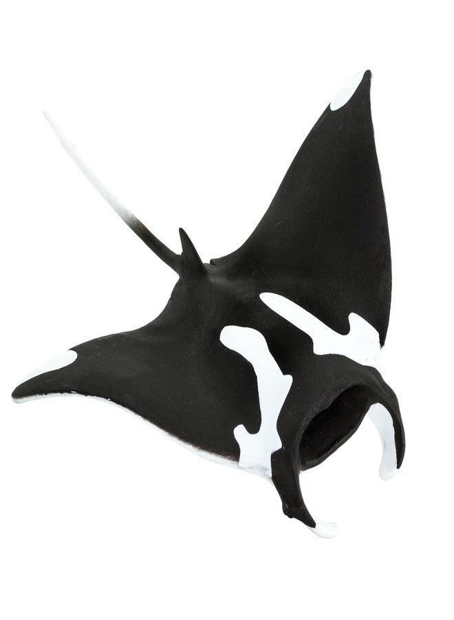 Safari Ltd. Manta Ray Figurine - Hand-Painted, Realistic 5.75" Sea Life Model Figure- Educational Toy for Boys, Girls & Kids Ages 3+ - Image 5