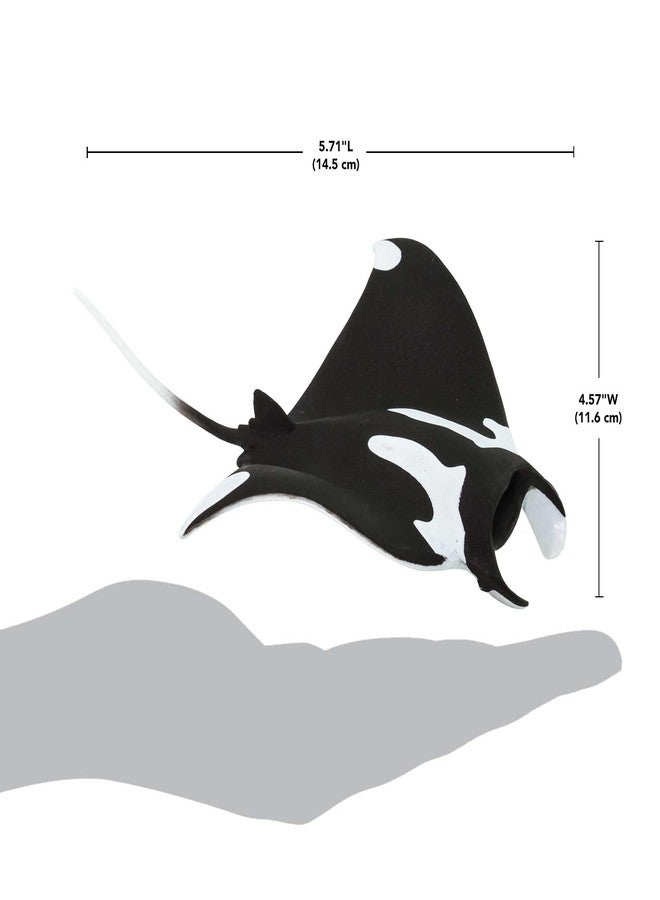 Safari Ltd. Manta Ray Figurine - Hand-Painted, Realistic 5.75" Sea Life Model Figure- Educational Toy for Boys, Girls & Kids Ages 3+ - Image 3