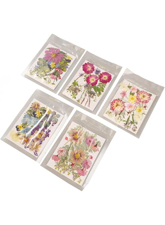 erorex Pressed Flowers Bulk Dried Flowers Edible Flowers Vibrant Rich Details Multi Purpose Colorful Dried Flowers For Scrapbooking Crafts Diy Bookmark 5 Bags Ayn2Z3Hr7K 12 - Image 1