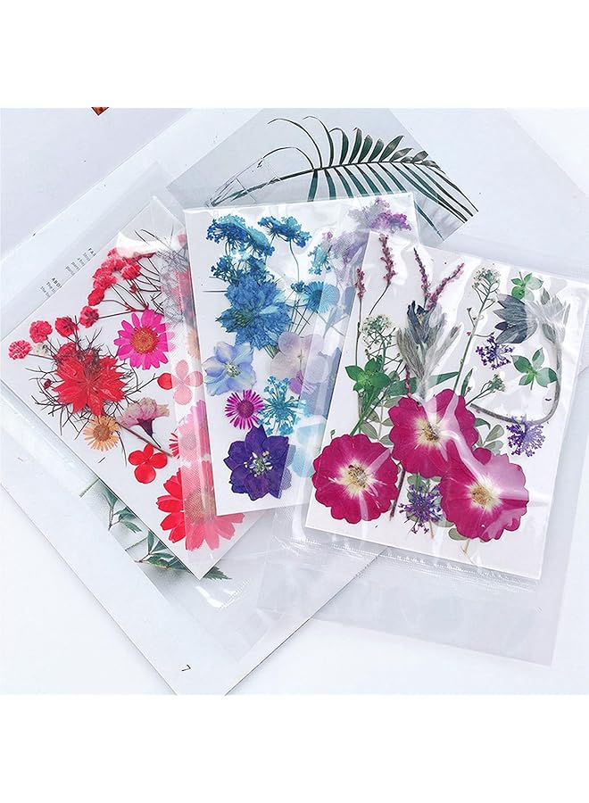 erorex Pressed Flowers Bulk Dried Flowers Edible Flowers Vibrant Rich Details Multi Purpose Colorful Dried Flowers For Scrapbooking Crafts Diy Bookmark 5 Bags Ayn2Z3Hr7K 12 - Image 3