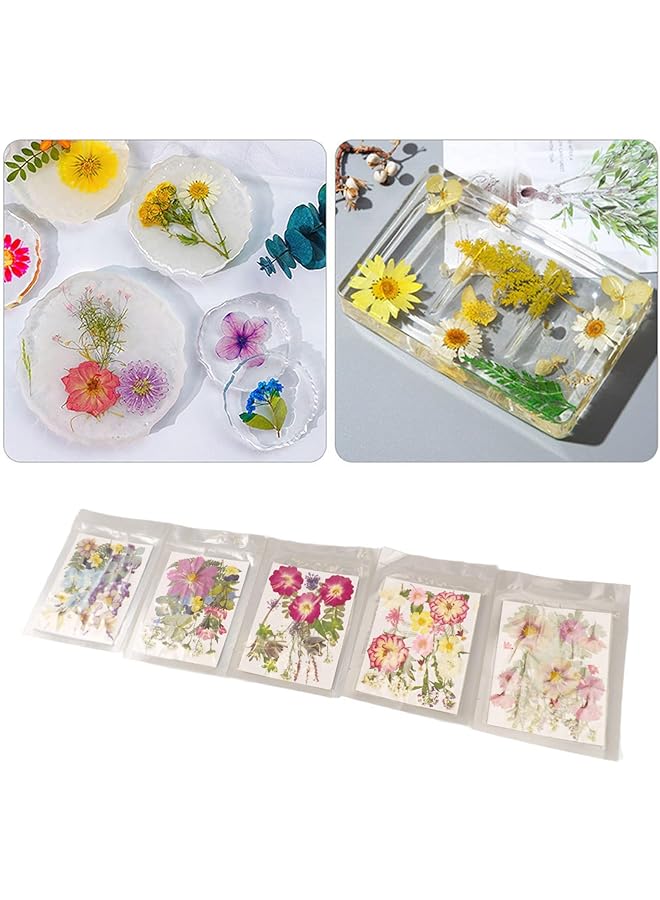 erorex Pressed Flowers Bulk Dried Flowers Edible Flowers Vibrant Rich Details Multi Purpose Colorful Dried Flowers For Scrapbooking Crafts Diy Bookmark 5 Bags Ayn2Z3Hr7K 12 - Image 2