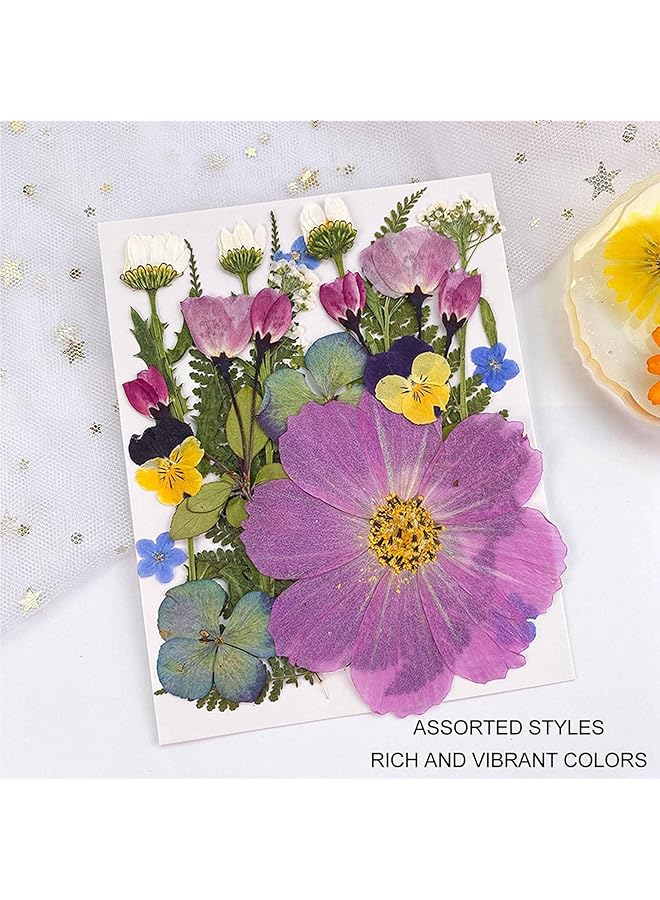 erorex Pressed Flowers Bulk Dried Flowers Edible Flowers Vibrant Rich Details Multi Purpose Colorful Dried Flowers For Scrapbooking Crafts Diy Bookmark 5 Bags Ayn2Z3Hr7K 12 - Image 5