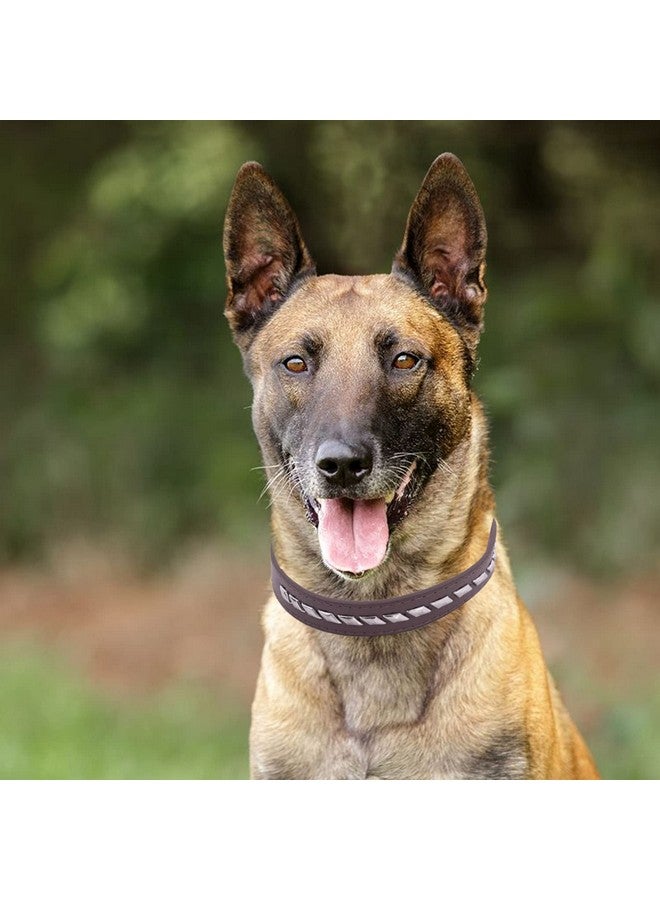 إيميلي بيتس طوق كلب قابل للتعديل مزود بمسامير معدنية للكلاب والجراء (لون أحمر) - Image 4