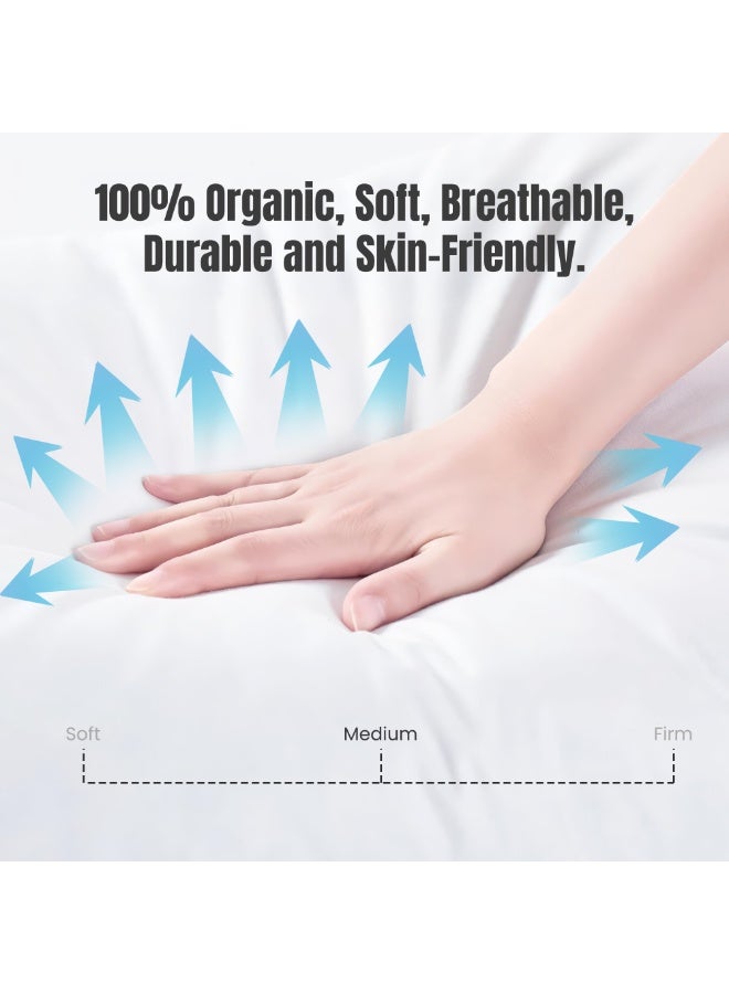 VANTAGE COMFORTS Goose Feather Down Pillow  King Size 50 x 75 cm | 90% Goose Feather + 10% Goose Down | Soft Backrest Pillow | Hotel Luxury Sleeping Pillow | Natural Cotton Down-Proof Cushion for All - Image 3