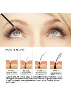 Northern Crown Cosmetics Natural Lash Growth Serum - Eyebrow Growth Enhancer - Eyelash Booster to Grow Longer Eyelashes - Lash Boost & Brow Enhancing Serum  - Image 5