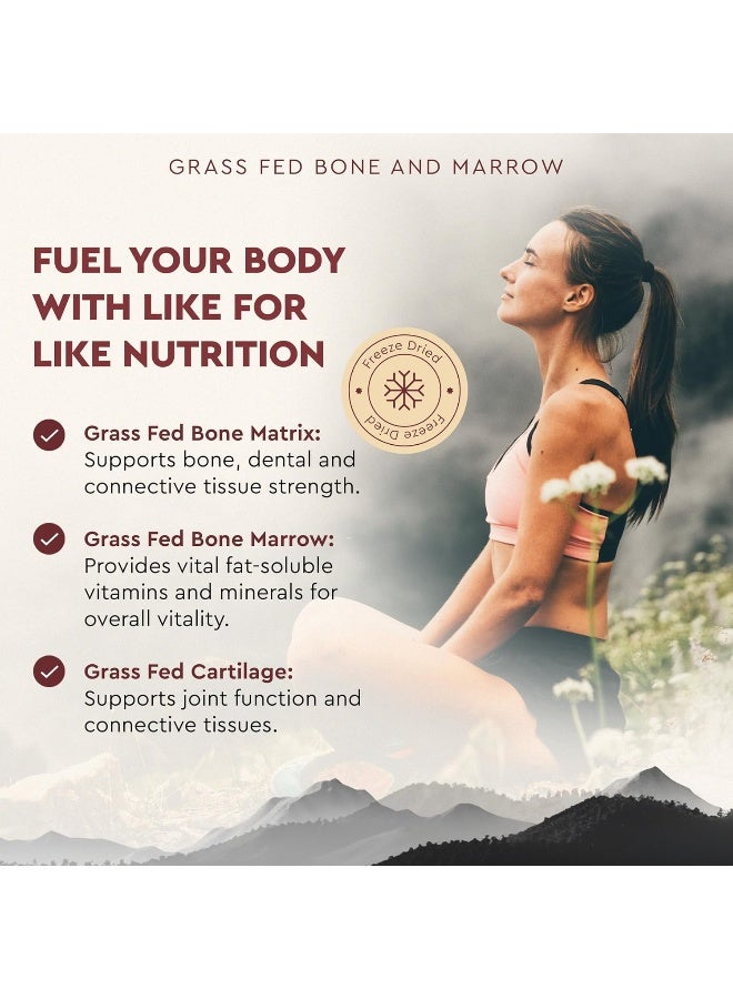 Ancestral Supplements Grass Fed Bone and Marrow Extract (Cartilage, Collagen) - Image 4
