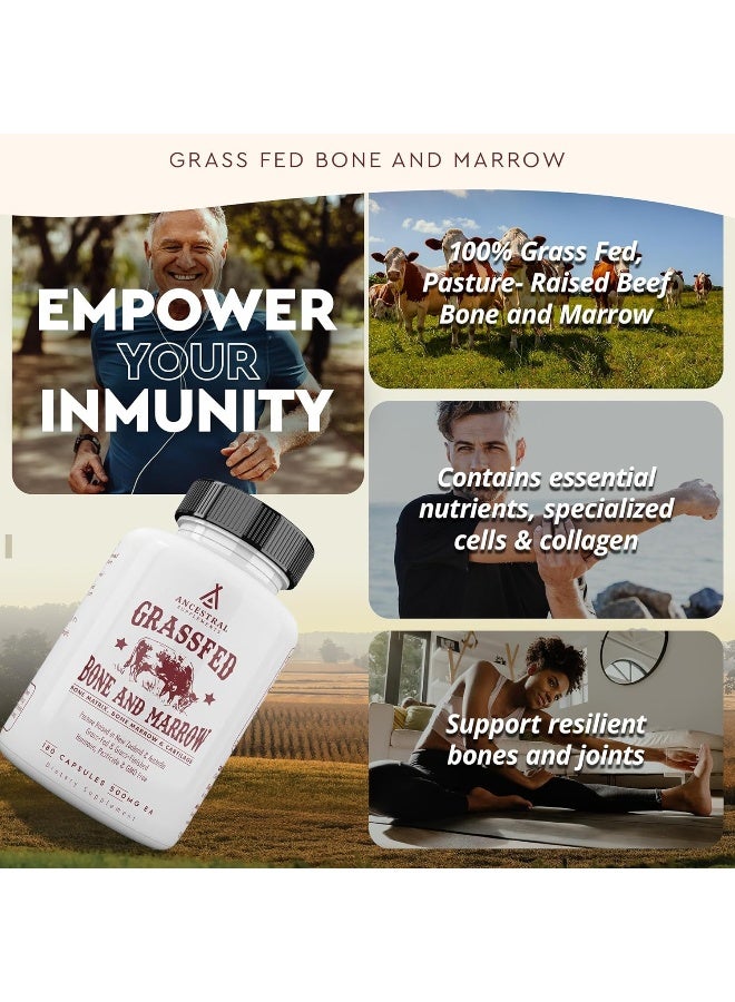 Ancestral Supplements Grass Fed Bone and Marrow Extract (Cartilage, Collagen) - Image 2