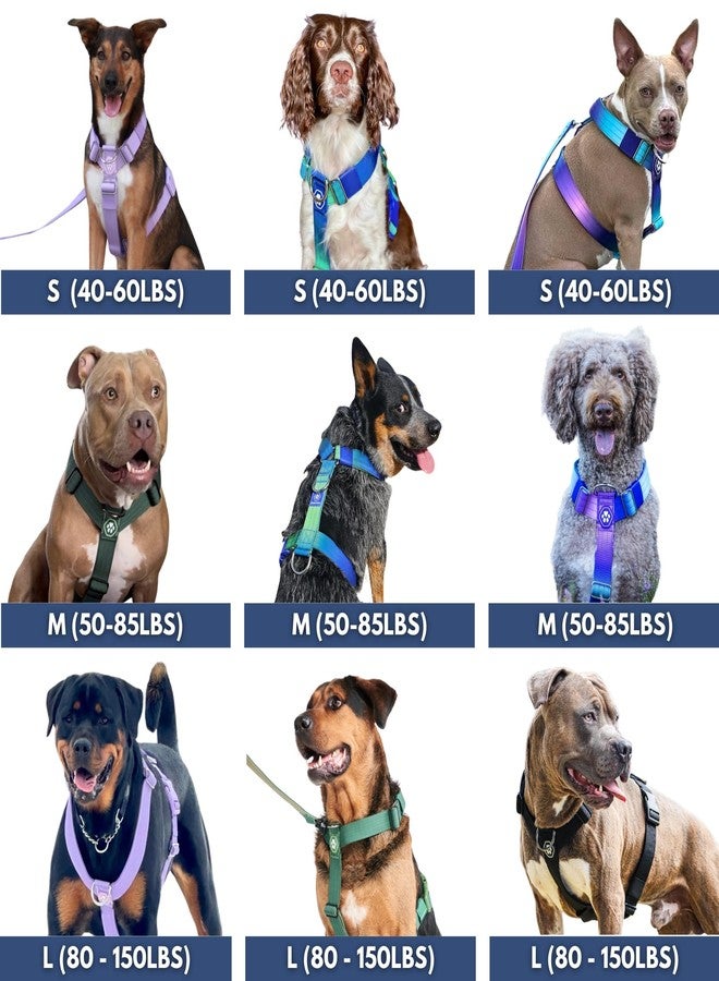 Spark Paws سرج سبارك باوز للكلاب الكبيرة، سرج متين للكلاب القوية من السلالات الكبيرة، قابل للتعديل، تصميم مبطن على شكل حرف Y مع مشبك أمامي - لون مخروط الثلج - مقاس كبير - Image 2