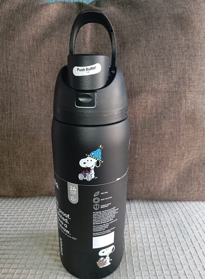 Owala Snoopy FreeSip Insulated Stainless Steel Water Bottle with Straw for Sports, Travel, and School BPA-Free Sports Water Bottle - Image 2