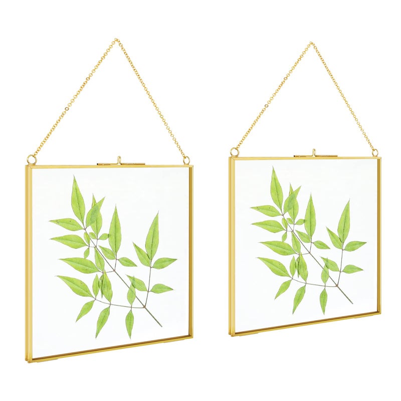 TLBTEK 2 PCS 8x8 inch Brass Hanging Photo FrameDouble Glass Frame for Pressed FlowersClear DIY Vintage Artwork Display Frame Wall Mounted Photos Frame