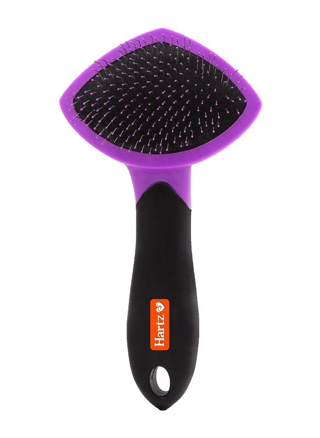 HARTZ, Groomer's Best Small Slicker Brush for Cats and Small Dogs, Black/Violet, 1 Count - pzsku/ZE97ABCF3D374085C7F90Z/45/_/1737031900/39014f3c-af10-4469-9f2c-a97e443d6303