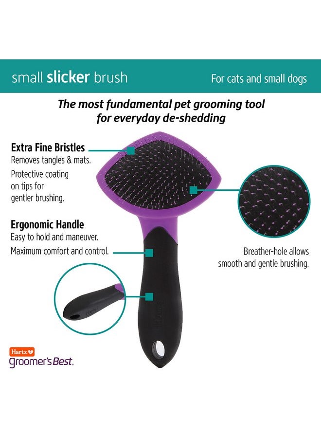 HARTZ, Groomer's Best Small Slicker Brush for Cats and Small Dogs, Black/Violet, 1 Count - pzsku/ZE97ABCF3D374085C7F90Z/45/_/1737031904/81c97ddf-6c59-4408-800b-7dfb6111cb64