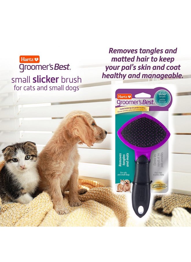 HARTZ, Groomer's Best Small Slicker Brush for Cats and Small Dogs, Black/Violet, 1 Count - pzsku/ZE97ABCF3D374085C7F90Z/45/_/1737032022/c90142fe-f3fc-4ef9-948d-b1ff92358deb