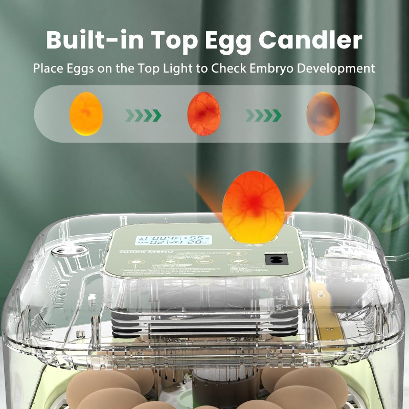 Eiictneh 12 Egg Incubator with Humidity Display & Built-in Candler, Automatic Turner, Temp & Humidity Control, Auto Water Refill â€“ Digital Hatcher for Chicken, Duck, Quail, Parrot (Green, 12 Egg) - Image 5