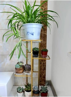 Metal Plant Stand Tall Flower Stand Flower Pot Shelf Storage Rack Corner Flower Shelves Multiple Plants Rack Holder Table Organizer Display for Garden Balcony Patio Living Room 5 Tier - pzsku/ZE97BAA78CC73CD379B16Z/45/_/1690534992/78e25404-8fa3-4c0b-9485-b052f028303a