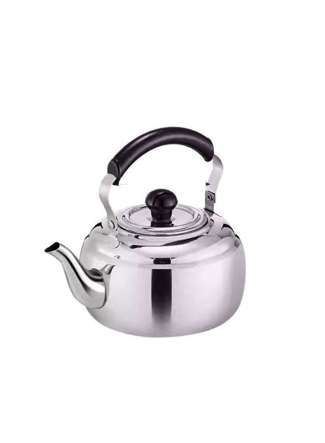 Stainless Steel Teapot Commercial Hotel Special Tea Kettle Catering Shop Outdoor Boiling Teapot With Fire Induction Cooker-Color:1l Chinese Teapot (black)  - Image 5