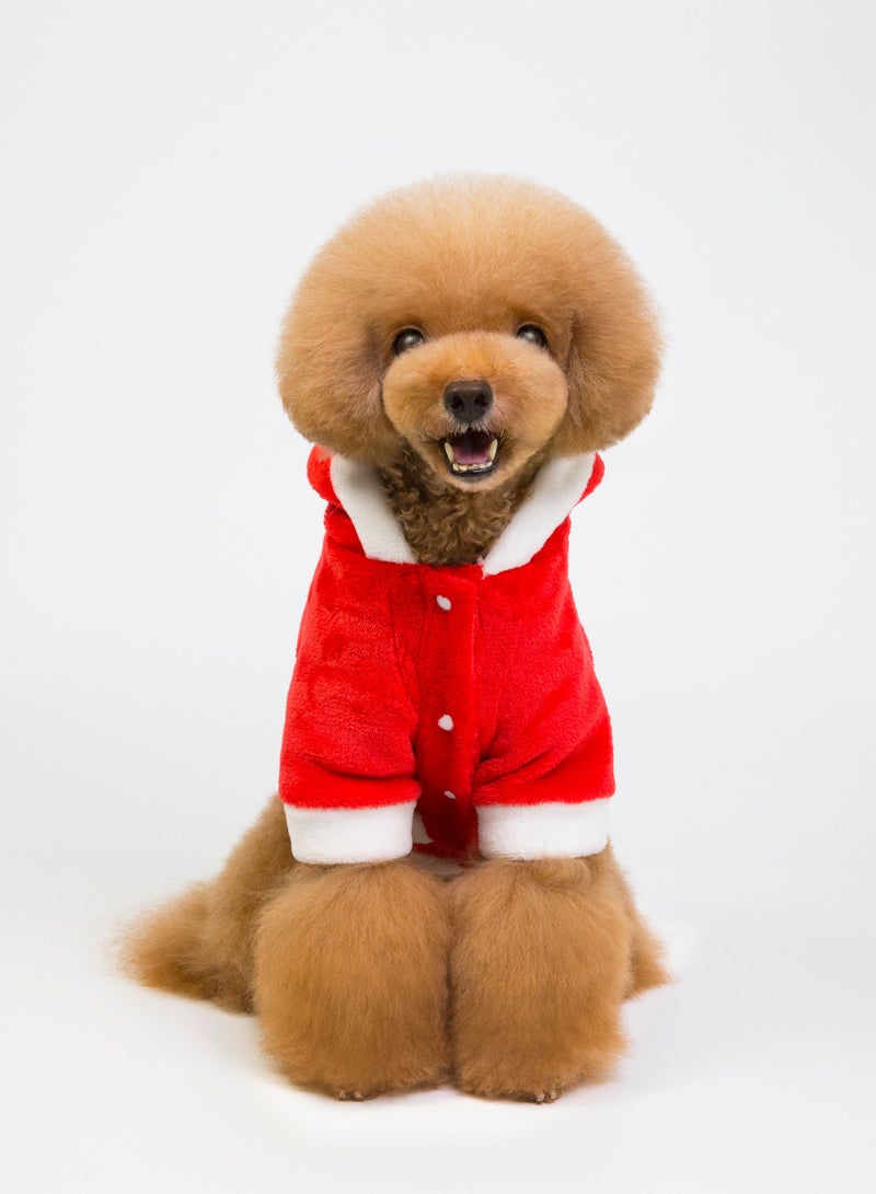 Loquat A pet dog wears a coat and a hat Red  - Image 1