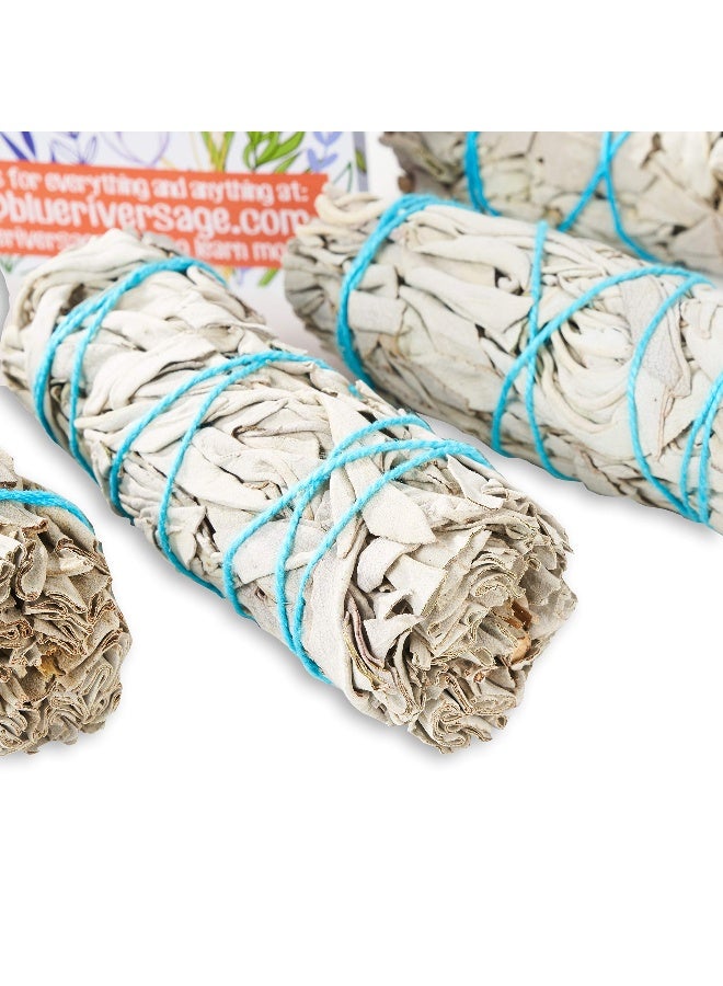 Blue River Sage Smudging & Energy Cleansing Kit with Amethyst, White Sage, Palo Santo, Abalone Shell, Stand & Guide (Regular) - Image 5