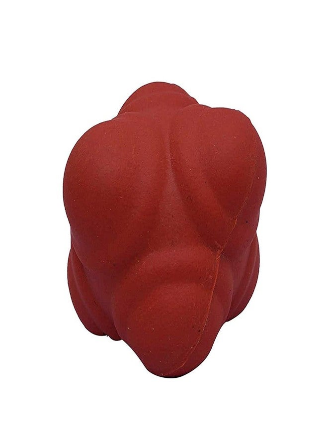 DESCTIDY كرة ديسكتيدي المطاطية الترفيهية لتحسين خفة الحركة وردود الفعل والتنسيق بين اليد والعين في لعبة الكريكيت - أحمر، حجم عادي - Image 2