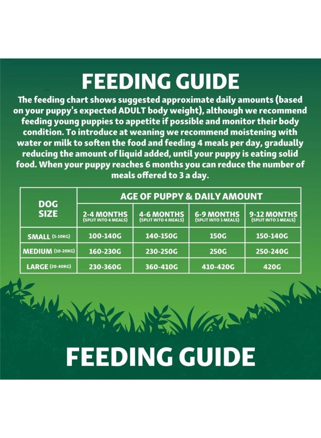 Harringtons Superfoods Chicken with Vegetables Puppy Dry Dog Food 1.7 KG - Image 5