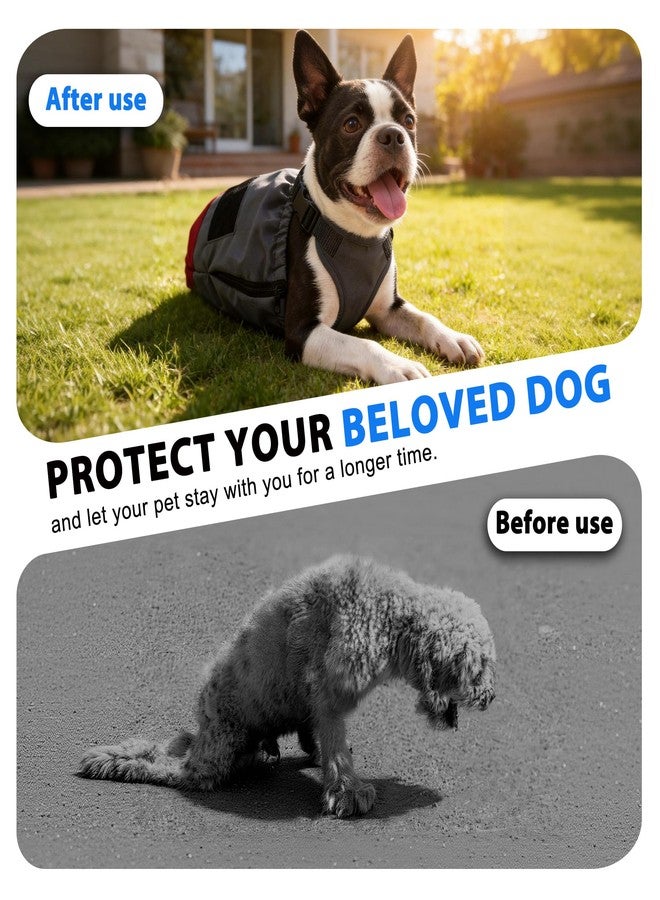 LetPetRun Dog Drag Bag for Paralyzed Dogs,Indoor Protective Sleeve for Disabled Rear Legs,Shields Chest and Legs from Scratches (XXS for 8-11lbs) - Image 2