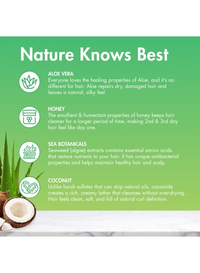 MopTop Gentle Shampoo â€“ Every Day Curly Hair Sulfate Free Shampoo, Improves Moisture & Reduces Frizz, Paraben Free Natural Hair Products for Straight, Wavy, Curly, Coily Texture (Bamboo, 8oz) - Image 2