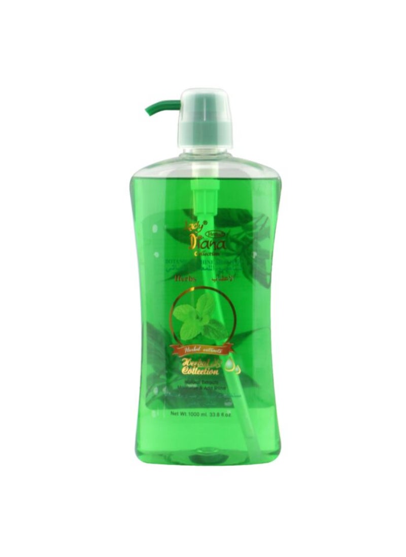 Lady Diana Lady Diana Herbal Collection Botanical Shine Shampoo 1000Ml 