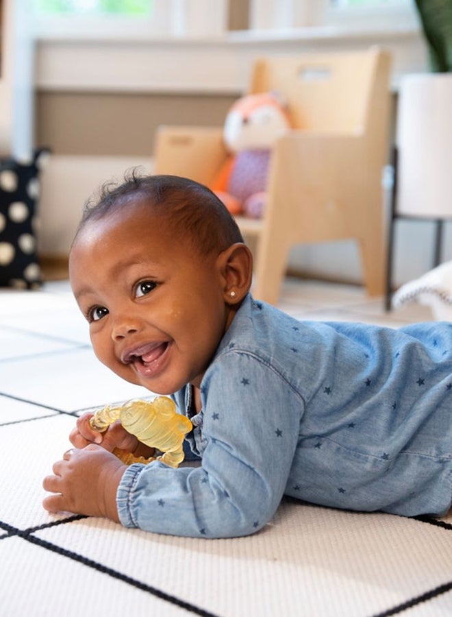 ingenuity Bpa-Free Baby Cool Bit Water Teether, 3 Months +, Bomby - Image 4