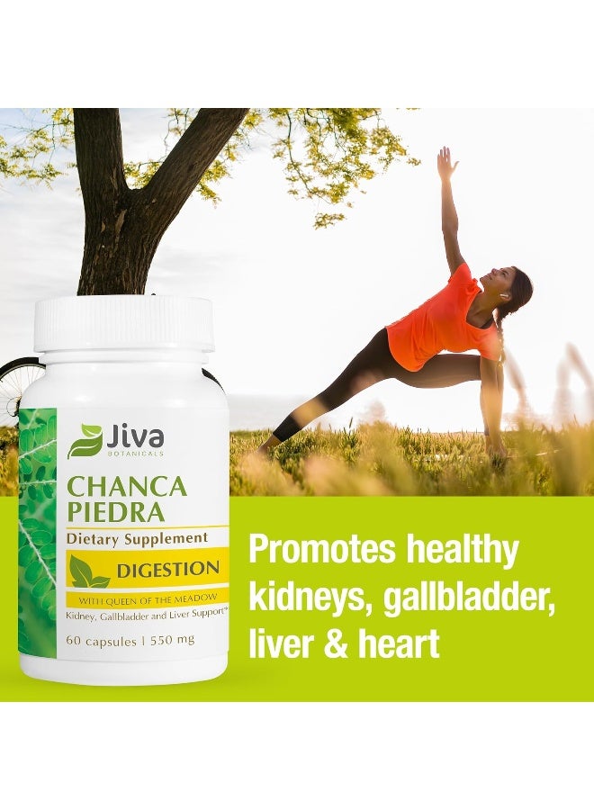 Jiva Botanicals - Chanca Piedra Stone Breaker - Formulated from Chanca Piedra Herb - 60 Capsules - Image 4