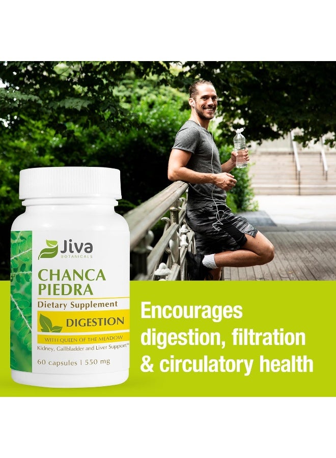 Jiva Botanicals - Chanca Piedra Stone Breaker - Formulated from Chanca Piedra Herb - 60 Capsules - Image 3