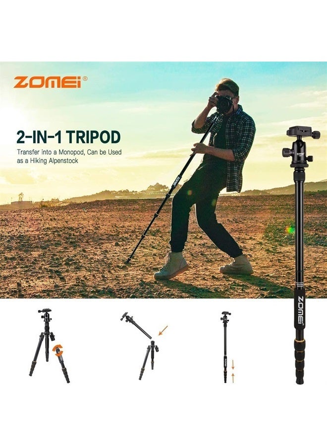 Zomei حامل كاميرا زومي 62" خفيف الوزن لحامل كاميرا DSLR مع رأس كروي وصينية إطلاق سريعة وحقيبة حمل (حامل ألومنيوم) - Image 3