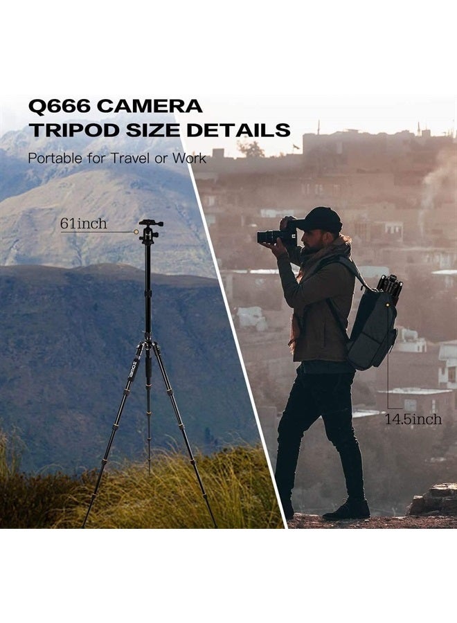 Zomei حامل كاميرا زومي 62" خفيف الوزن لحامل كاميرا DSLR مع رأس كروي وصينية إطلاق سريعة وحقيبة حمل (حامل ألومنيوم) - Image 2