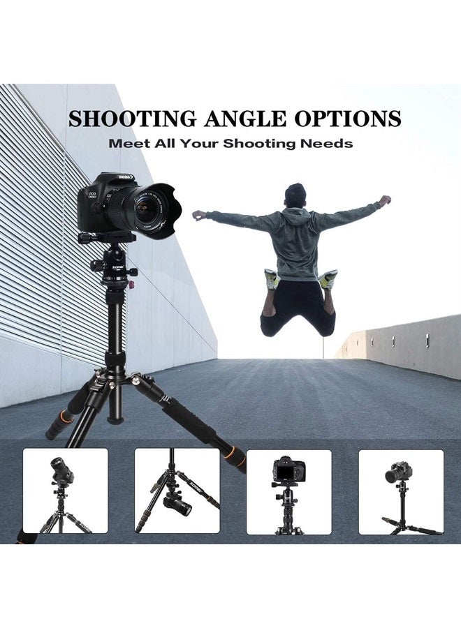 Zomei حامل كاميرا زومي 62" خفيف الوزن لحامل كاميرا DSLR مع رأس كروي وصينية إطلاق سريعة وحقيبة حمل (حامل ألومنيوم) - Image 5