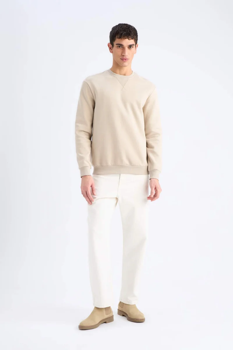 ديفاكتو Regular Fit Crew Neck Basic Thick Sweatshirt