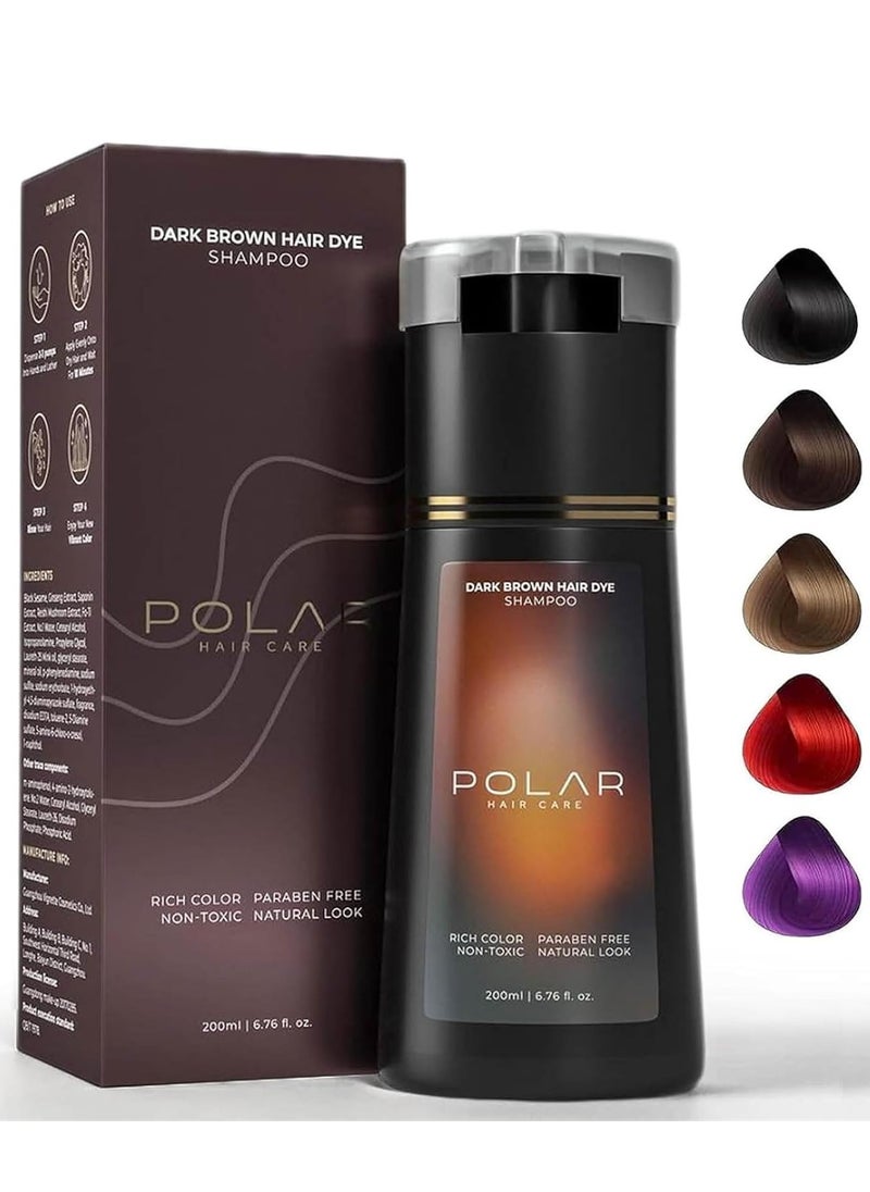 POLAR - Polar Hair Dye Shampoo, Polar Hair Care, Polar Hair Care Instant Dye Shampoo, Natural Hair Color Shampoo For Gray Hair Coverage, Polar Haircare Suitable For Women & Men 200ml (Dark Brown) - Image 1