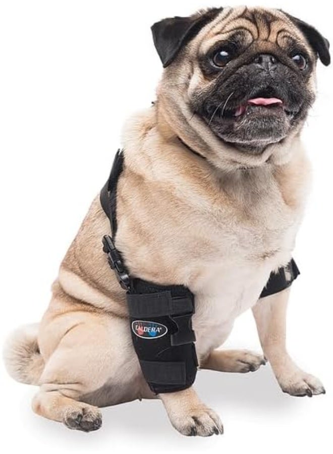 Caldera Pet Therapy Universal Wrap Carpal/Elbow with Gel, Small, Black - Image 2