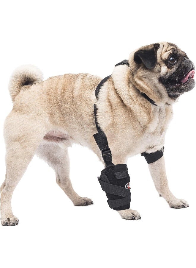 Caldera Pet Therapy Universal Wrap Carpal/Elbow with Gel, Small, Black - Image 1