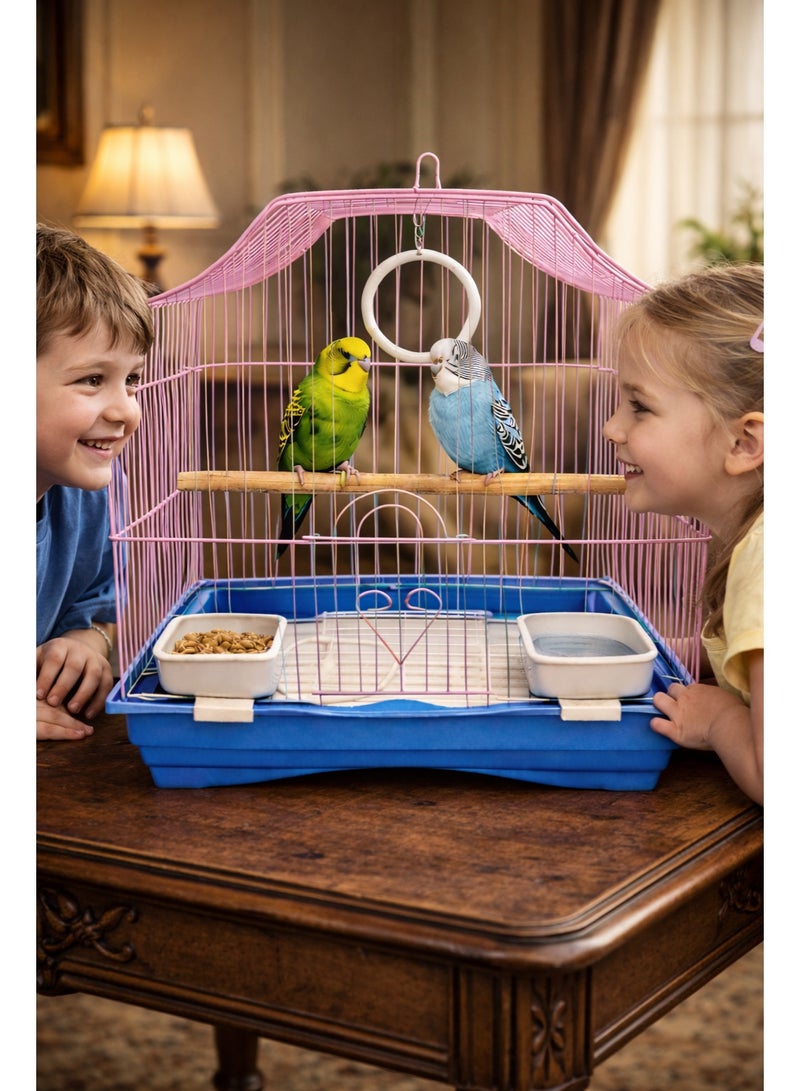 Petto Metal Bird Cage for Small Birds with Perch & Feeding Cups – Hanging Design (30 × 23 × 39 cm) - Image 2