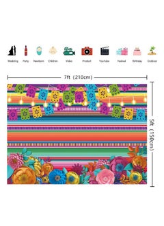 Mexican Fiesta Photography Background Fiesta Theme Party Banner Decorations Backdrop (7X5Ft) - pzsku/ZE985267C6AE636B41D44Z/45/_/1733730300/1032bb42-b6c0-4e7b-952b-1fb04333abec