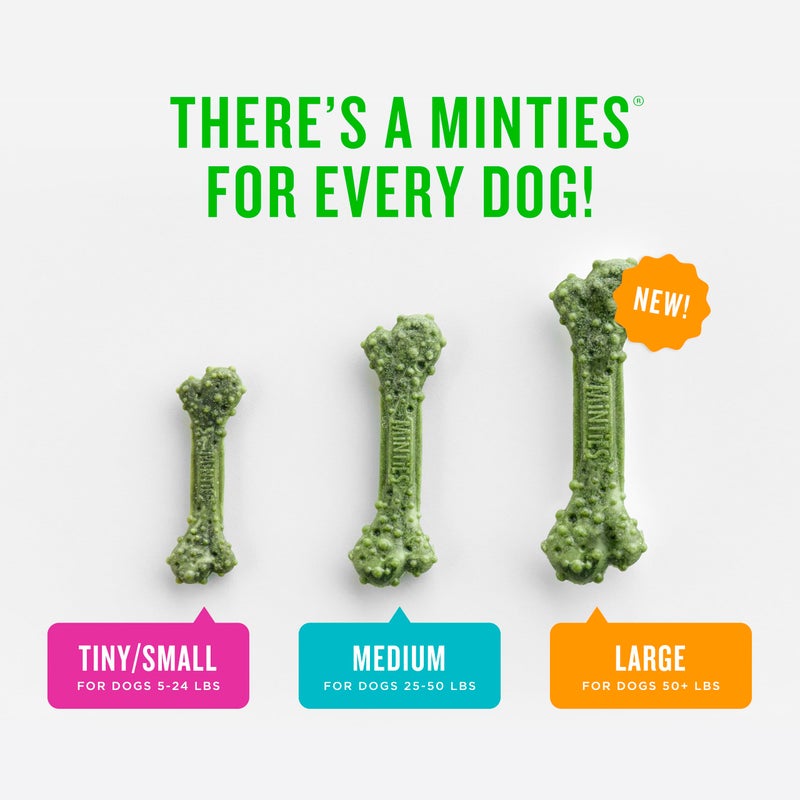 Minties Dental Chews for Dogs, 24 Count, Vet-Recommended Mint-Flavored Treats for Large Dogs Over 50 lbs, Dental Bones Clean Teeth, Fight Bad Breath, and Removes Plaque and Tartar - Image 5