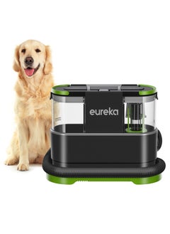 EUREKA منظف السجاد EUREKA Spot &amp; Stain، مكنسة كهربائية محمولة خفيفة الوزن ومتعددة الأسطح للأريكة ومقاعد السيارة مع خزانين للمياه  - Image 2