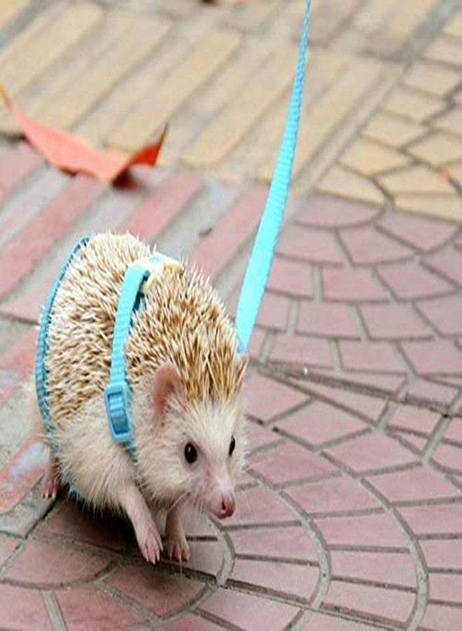 hokmly Adjustable Small Pet Hedgehog Harness for Training Playing Traction Rope (Blue) - Image 2