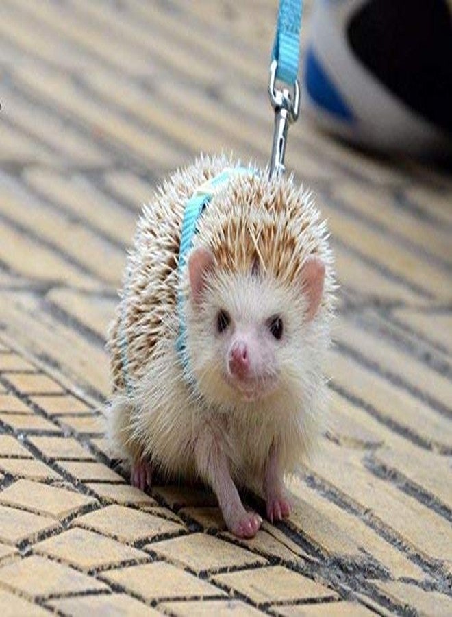 hokmly Adjustable Small Pet Hedgehog Harness for Training Playing Traction Rope (Blue) - Image 4